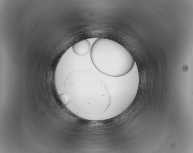 X0000090910278200708131418