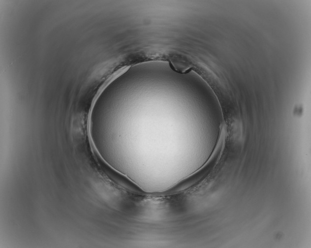 X0000090910280200708131418