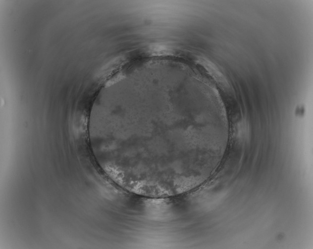 X0000090910281200708131418