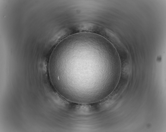 X0000090910282200708131418