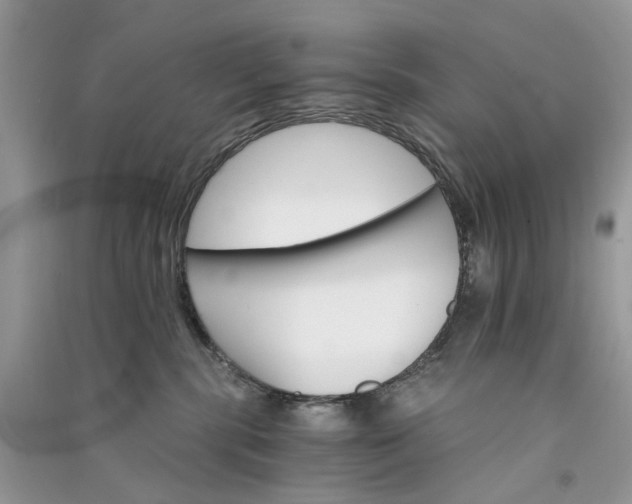 X0000090910283200708131418