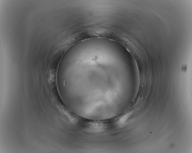 X0000090910284200708131418