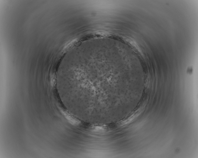 X0000090910285200708131418