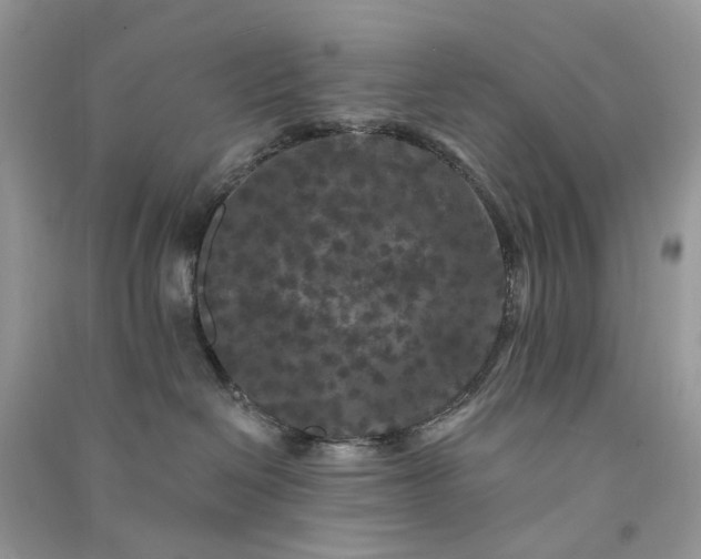 X0000090910286200708131418