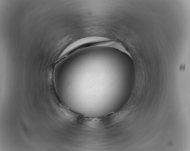 X0000090910288200708131418