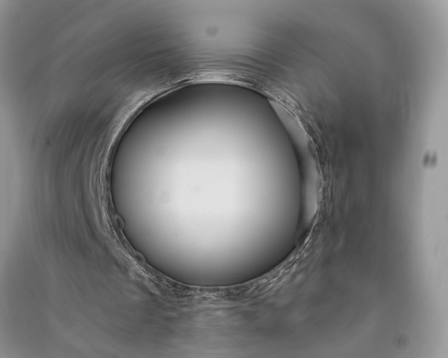 X0000090910289200708131418