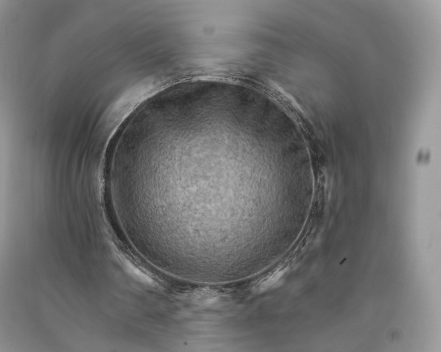 X0000090910290200708131418