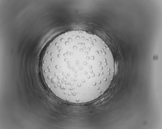 X0000090910291200708131418