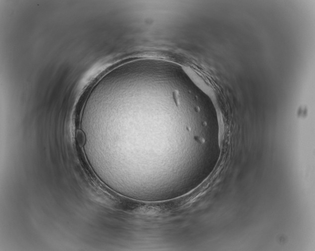 X0000090910294200708131418