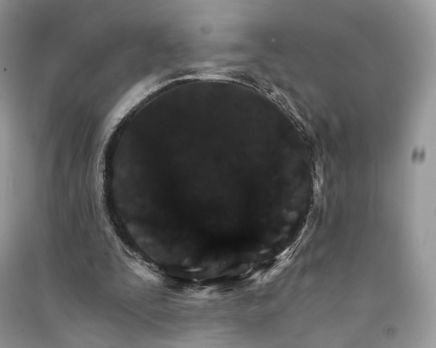 X0000090910295200708131418