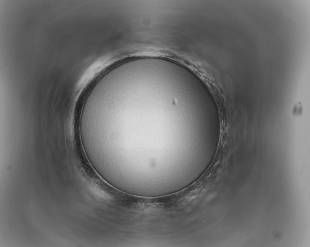 X0000090910296200708131418