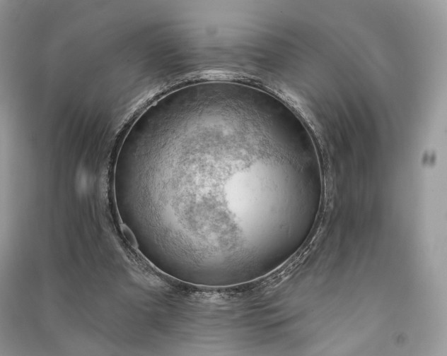 X0000090910297200708131418