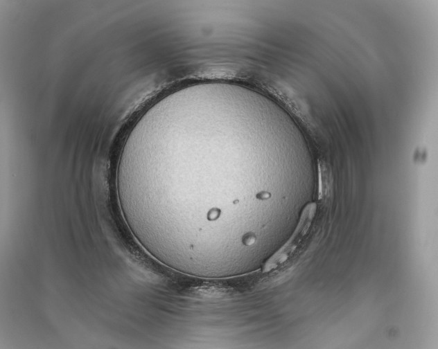 X0000090910300200708131418