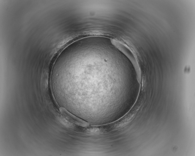 X0000090910301200708131418