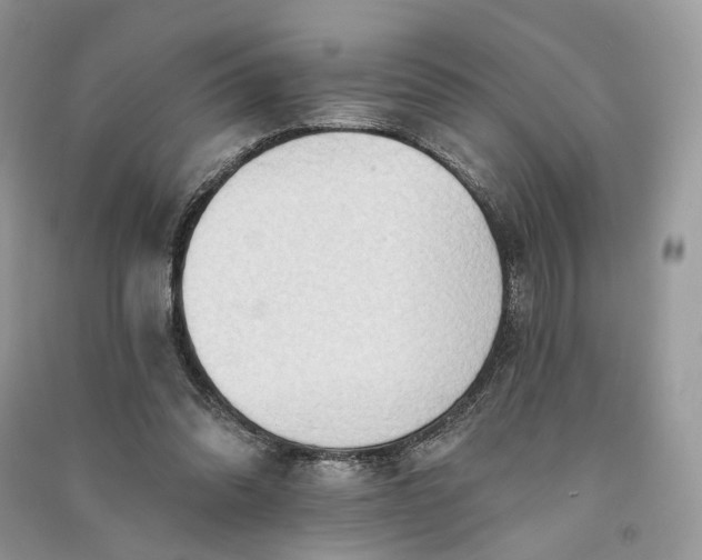 X0000090910302200708131417