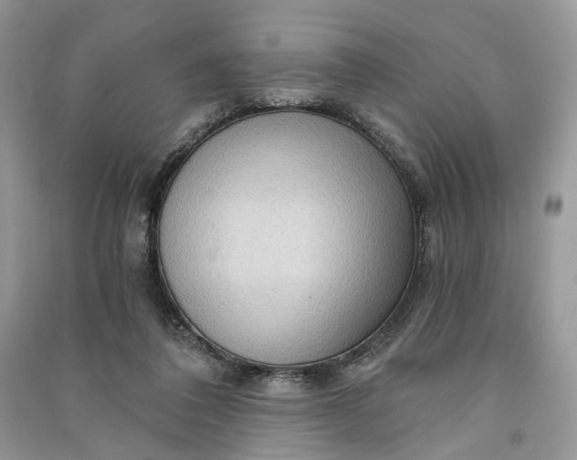 X0000090910308200708131417