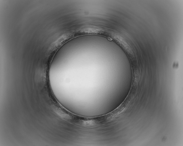 X0000090910309200708131417