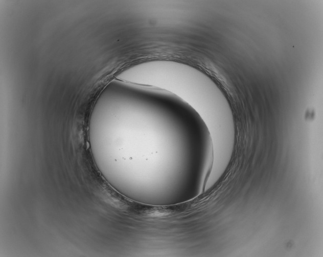 X0000090910313200708131417