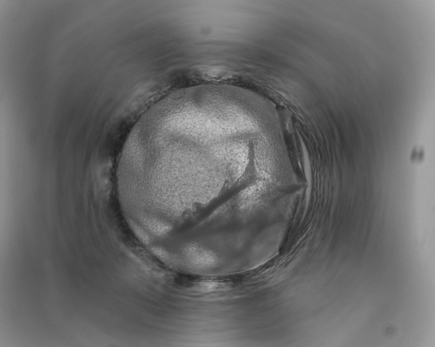 X0000090910319200708131417