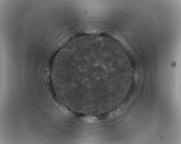 X0000090910322200708131417