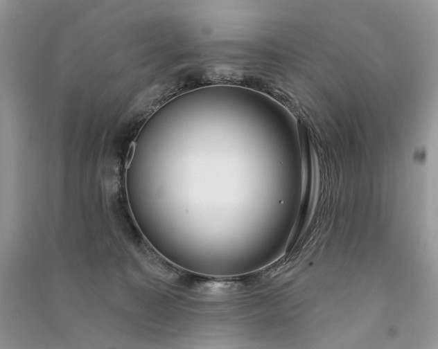 X0000090910323200708131417