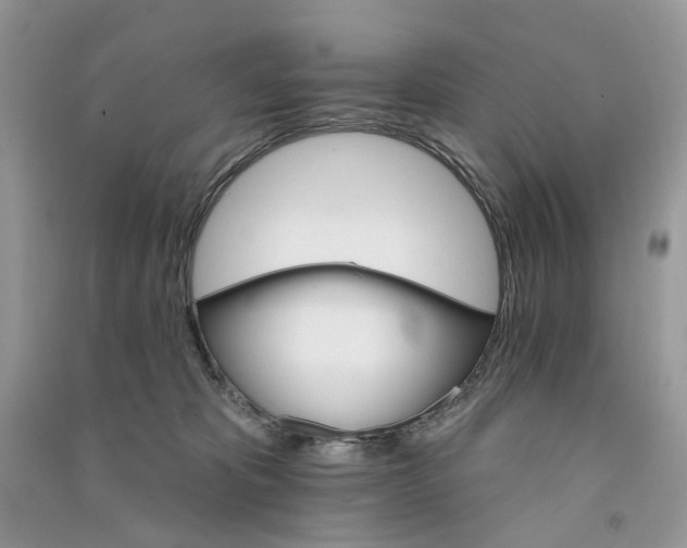 X0000090910325200708131417