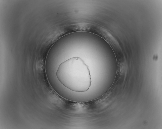 X0000090910326200708131417