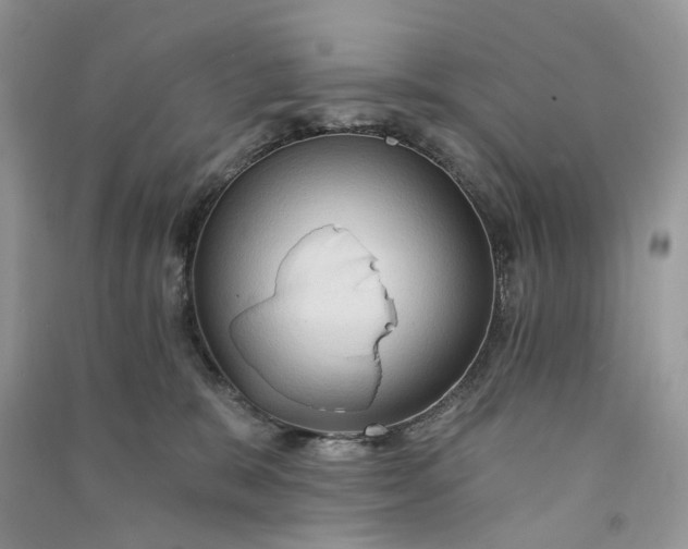 X0000090910327200708131417