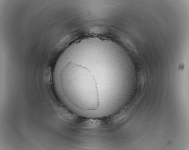 X0000090910328200708131417