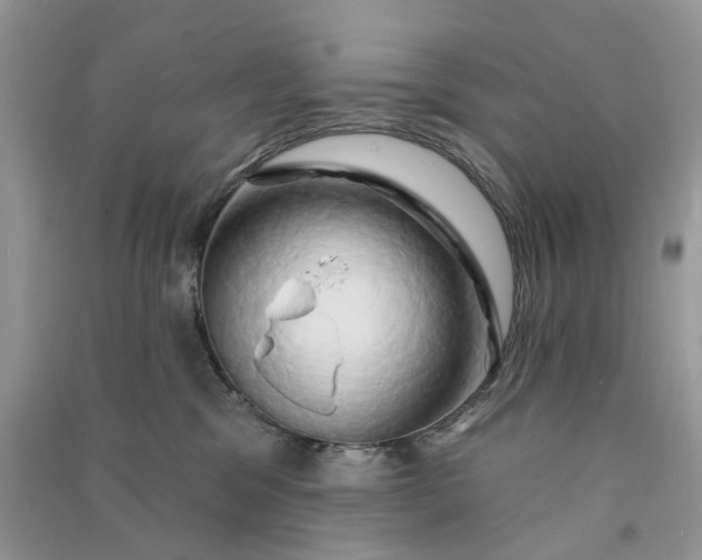 X0000090910329200708131417