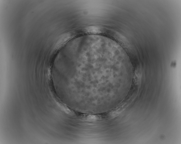 X0000090910330200708131417