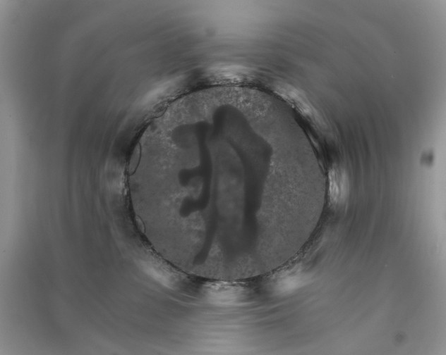 X0000090910331200708131417