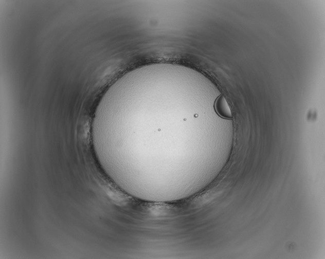 X0000090910336200708131417