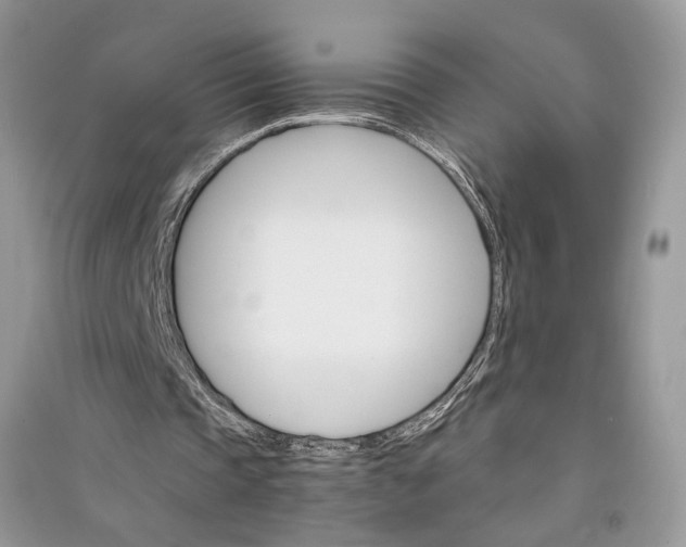 X0000090910337200708131416