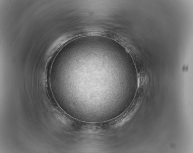 X0000090910339200708131416