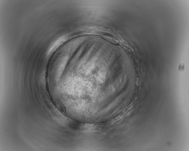 X0000090910341200708131417