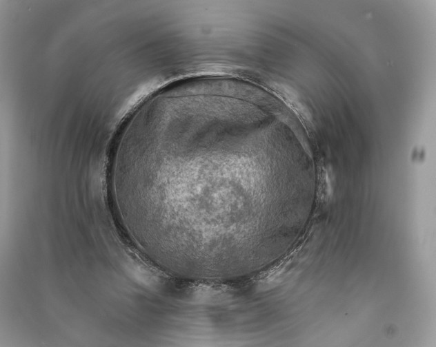 X0000090910346200708131417