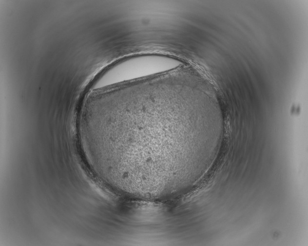 X0000090910347200708131417