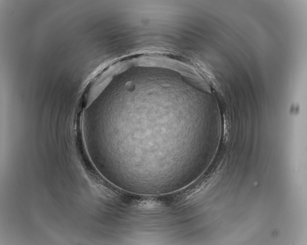 X0000090910348200708131417