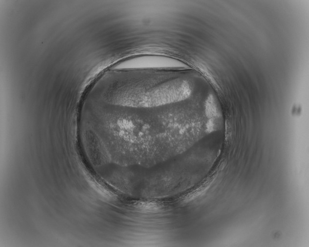 X0000090910349200708131417