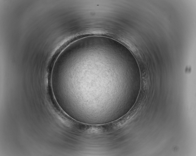 X0000090910350200708131417