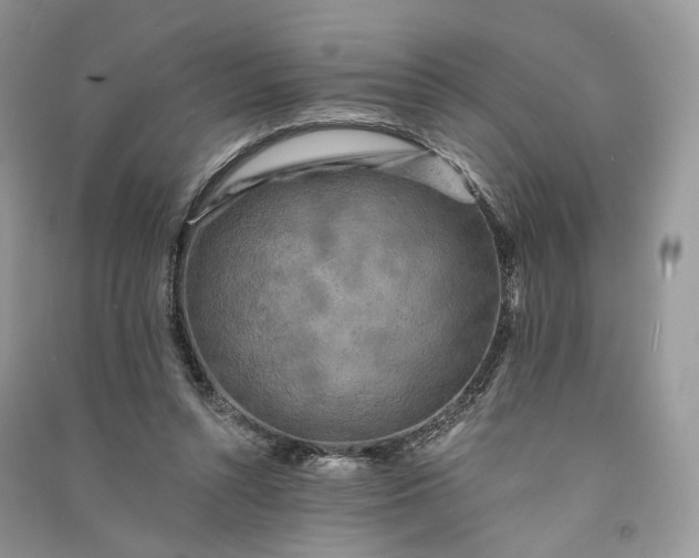 X0000090910352200708131417