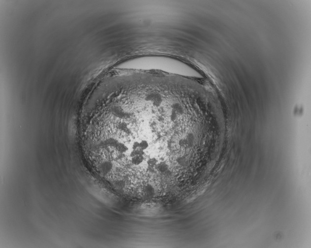 X0000090910353200708131417