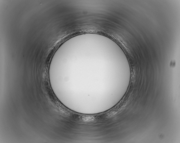 X0000090910355200708131417