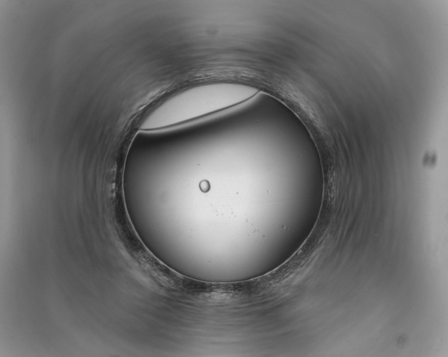 X0000090910356200708131417