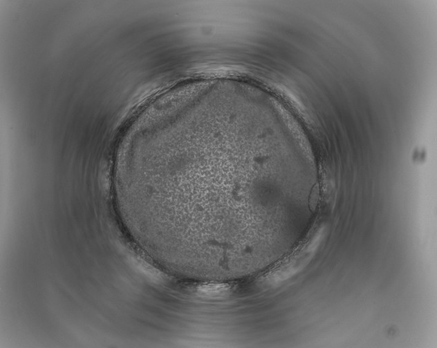 X0000090910357200708131417