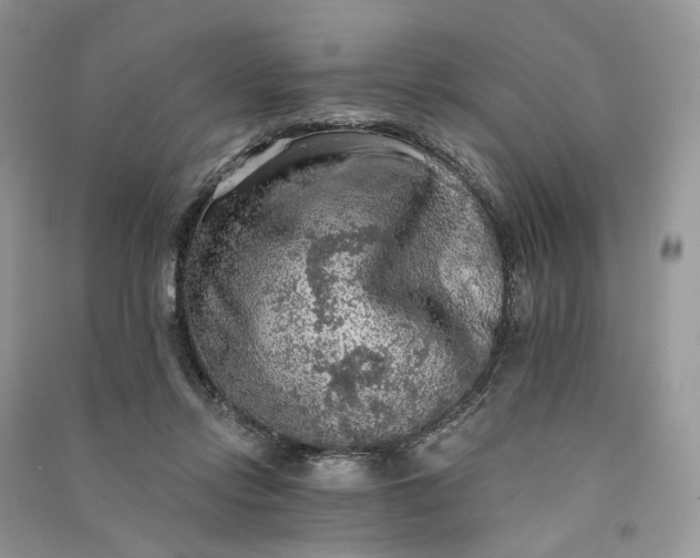 X0000090910358200708131417