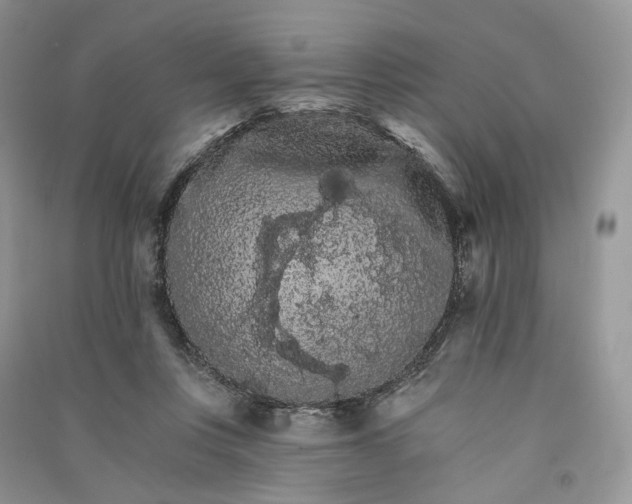 X0000090910359200708131417