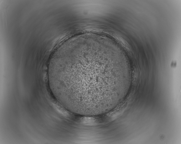 X0000090910361200708131417