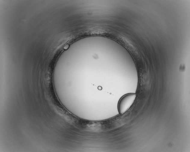 X0000090910362200708131417